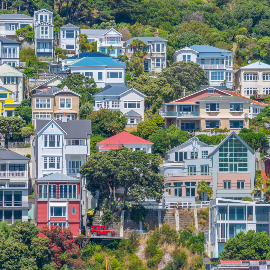 New Zealand Law Review 2023: Issue Three