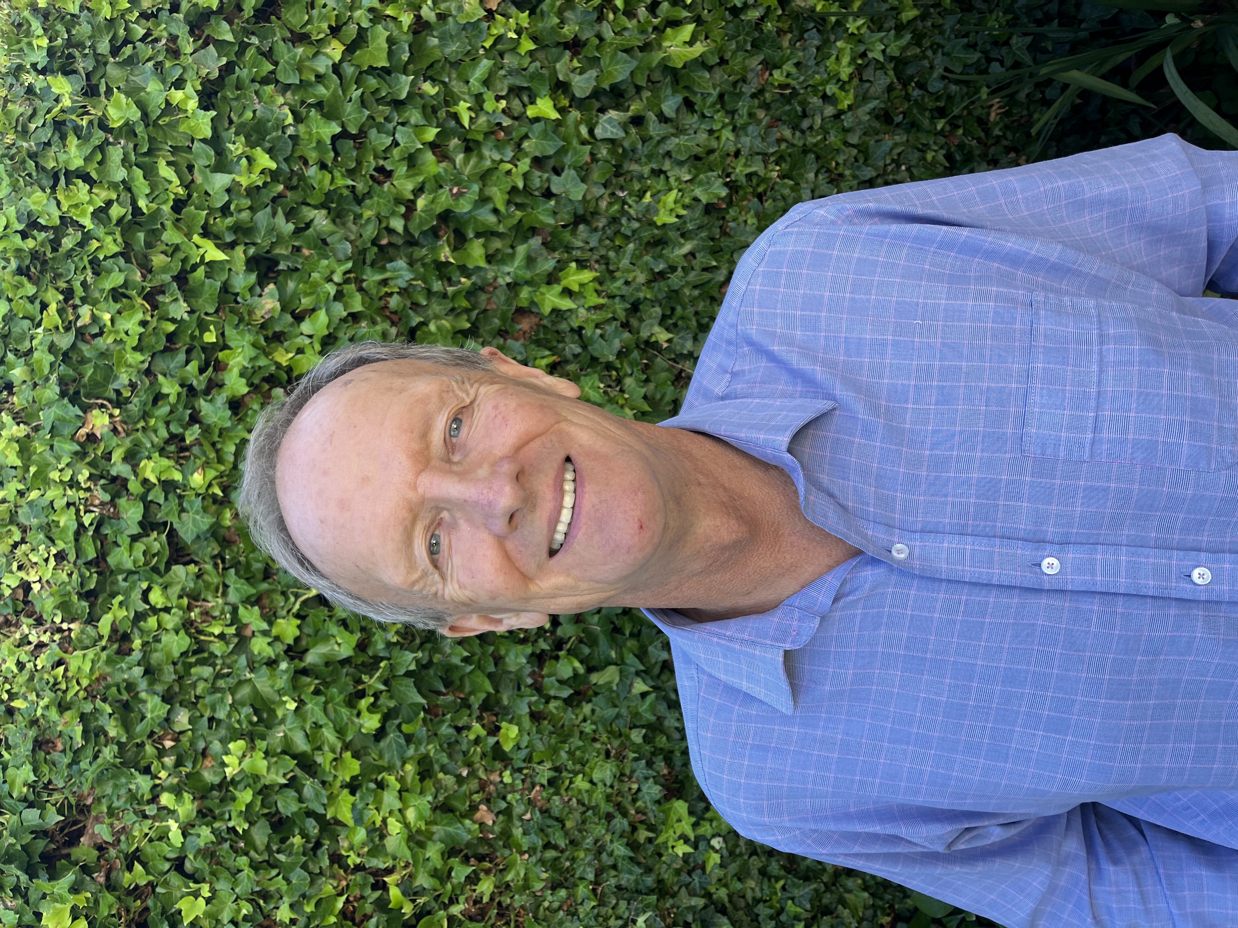 Professor Stephen Todd
